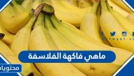 ما هي فاكهة الفلاسفة