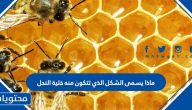 ماذا يسمى الشكل الذي تتكون منه خلية النحل