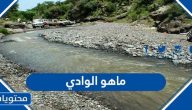 ماهو الوادي