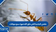 ماهي الحشرة التي خلق الله فيها سبع حيوانات