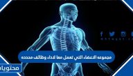 مجموعه الاعضاء التي تعمل معا لاداء وظائف محدده