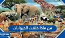 من ماذا خلقت الحيوانات