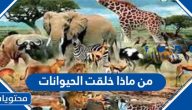 من ماذا خلقت الحيوانات