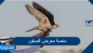 رابط منصة معرض الصقور والصيد السعودي 2025 / 1447 وطرق التواصل والشراء
