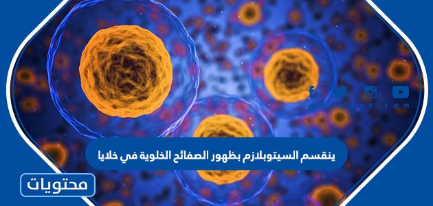ينقسم السيتوبلازم بظهور الصفائح الخلوية في خلايا