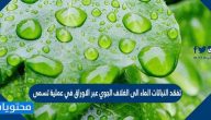 تفقد النباتات الماء الى الغلاف الجوي عبر الاوراق في عملية تسمى