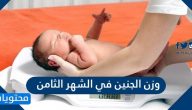 وزن الجنين في الشهر الثامن