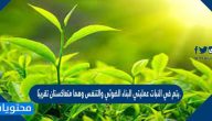 يتم في النبات عمليتي البناء الضوئي والتنفس وهما متعاكستان تقريبًا.