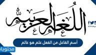 أسم الفاعل من الفعل علم هو عالم
