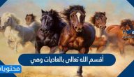 أقسم الله تعالى بالعاديات وهي