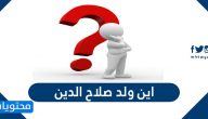 اين ولد صلاح الدين