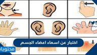 اختبار عن اسماء اعضاء الجسم