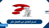 اسم الفاعل من الفعل نام
