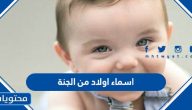اسماء اولاد من الجنة ومعانيها 2025