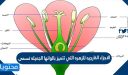 الاجزاء الخارجيه للزهره التي تتميز بالوانها الجميله تسمى