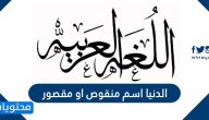 الدنيا اسم منقوص او مقصور