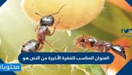 العنوان المناسب للفقرة الأخيرة من النص هو