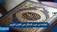 الفائدة من ضرب الامثال في القران الكريم