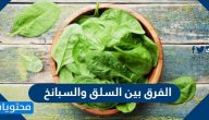 الفرق بين السلق والسبانخ