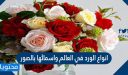 انواع الورد في العالم واسمائها بالصور