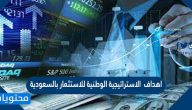 اهداف الاستراتيجية الوطنية للاستثمار بالسعودية