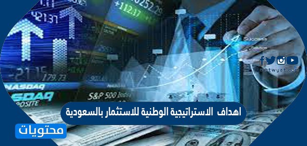 اهداف الاستراتيجية الوطنية للاستثمار بالسعودية
