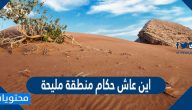 اين عاش حكام منطقة مليحة