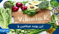 اين يوجد فيتامين k