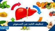 طرق تنظيف الكبد من السموم