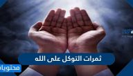 ثمرات التوكل على الله