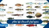 جميع انواع الاسماك لها عظام