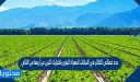 حدد خصائص التكاثر في النباتات المعراة البذور باختيارك اثنين من أربعة من التالي