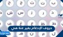 حروف الإدغام بغير غنة هي