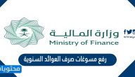 كيفية رفع مسوغات صرف العوائد السنوية وزارة المالية