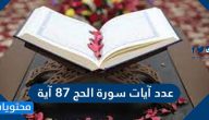 عدد آيات سورة الحج 87 آية صح ام خطأ