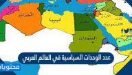 عدد الوحدات السياسية في العالم العربي