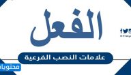 علامات النصب الفرعية