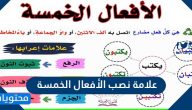 علامة نصب الأفعال الخمسة