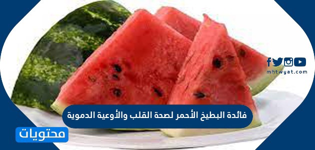 فائدة البطيخ الأحمر لصحة القلب والأوعية الدموية