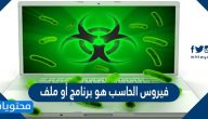فيروس الحاسب هو برنامج أو ملف