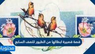قصة قصيرة ابطالها من الطيور للصف السابع