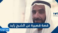 قصة قصيرة عن الشيخ زايد
