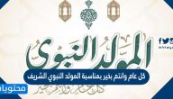 كل عام وانتم بخير بمناسبة المولد النبوي الشريف .. اجمل كلمات التهنئة والتبريك في المولد
