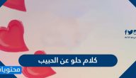كلام حلو عن الحبيب