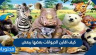 كيف اقارن الحيوانات بعضها ببعض