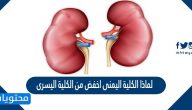 لماذا الكلية اليمنى اخفض من الكلية اليسرى