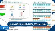 لماذا يستخدم تفاعل البلمرة المتسلسل