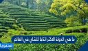 ما هي الدولة الاكثر انتاجا للشاي في العالم