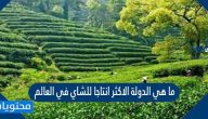 ما هي الدولة الاكثر انتاجا للشاي في العالم