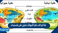 ماذا لو كانت خلايا الحيوانات تحتوي على بلاستيدات